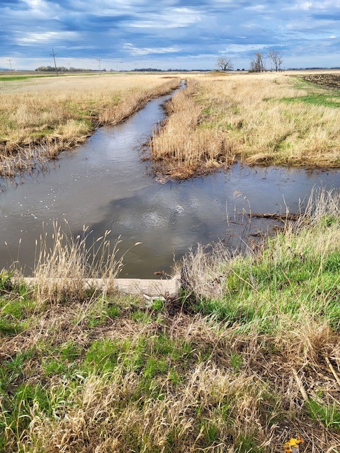 Muddy Public Water Meets Clear Drainage Ditch